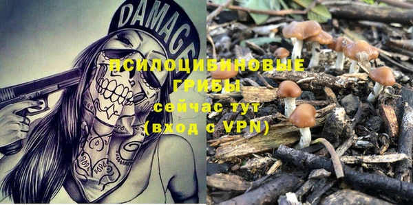 COCAINE Богданович